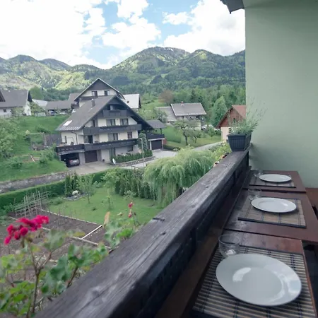 Comfy And With Bikes