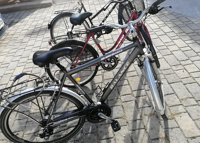 Comfy And With Bikes Apartment Bohinj