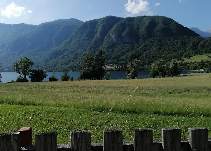 Comfy And With Bikes Apartment *