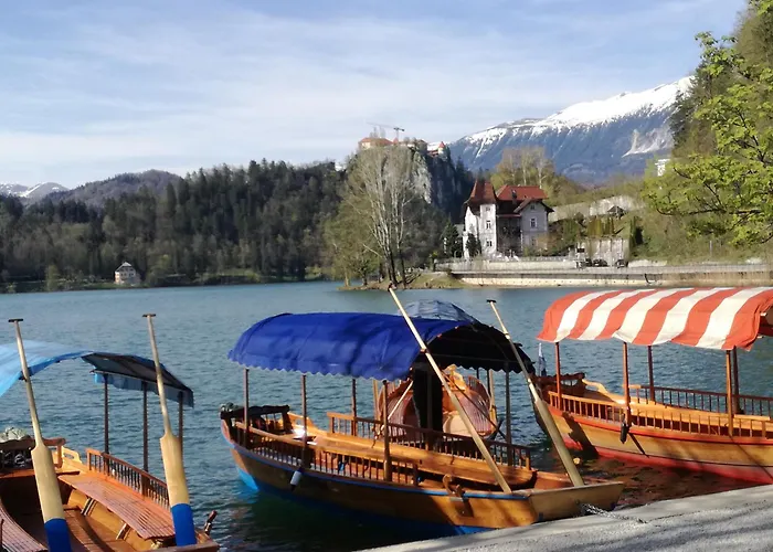 Apartment Comfy And With Bikes